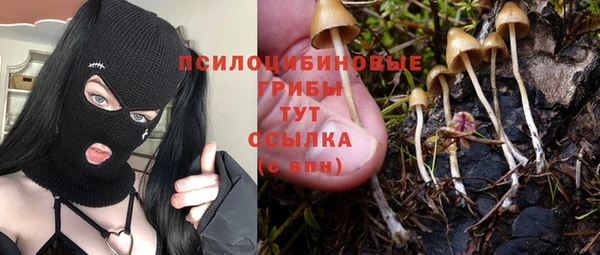 кокс Армянск