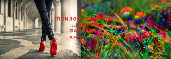 кокс Армянск